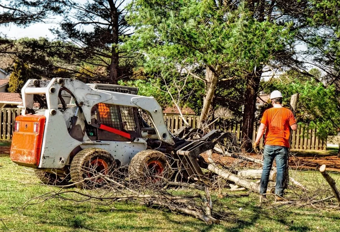 Tree service company in Glendora, CA